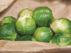 B_Sprouts_
